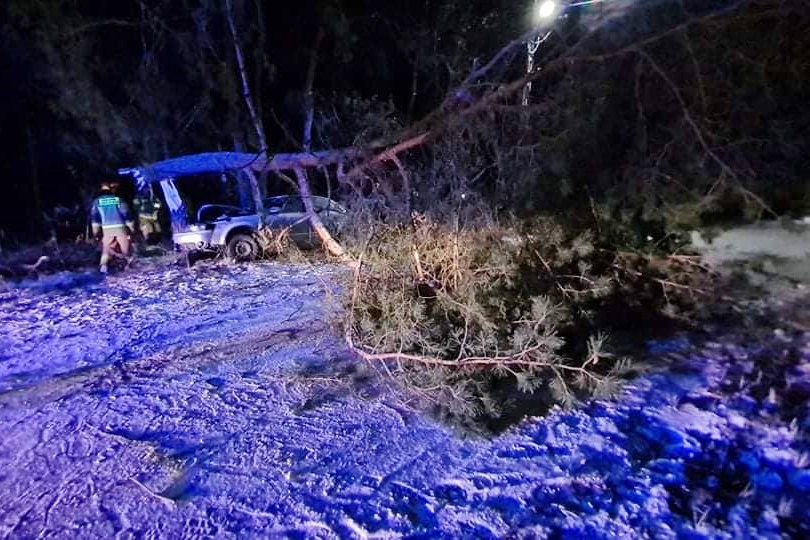 21 stycznia 2022 roku w miejscowości Pruszyn Pieńki (gm. Siedlce) samochód osobowy uderzył w drzewo, w wyniku czego złamało się ono i przewróciło na drogę. 