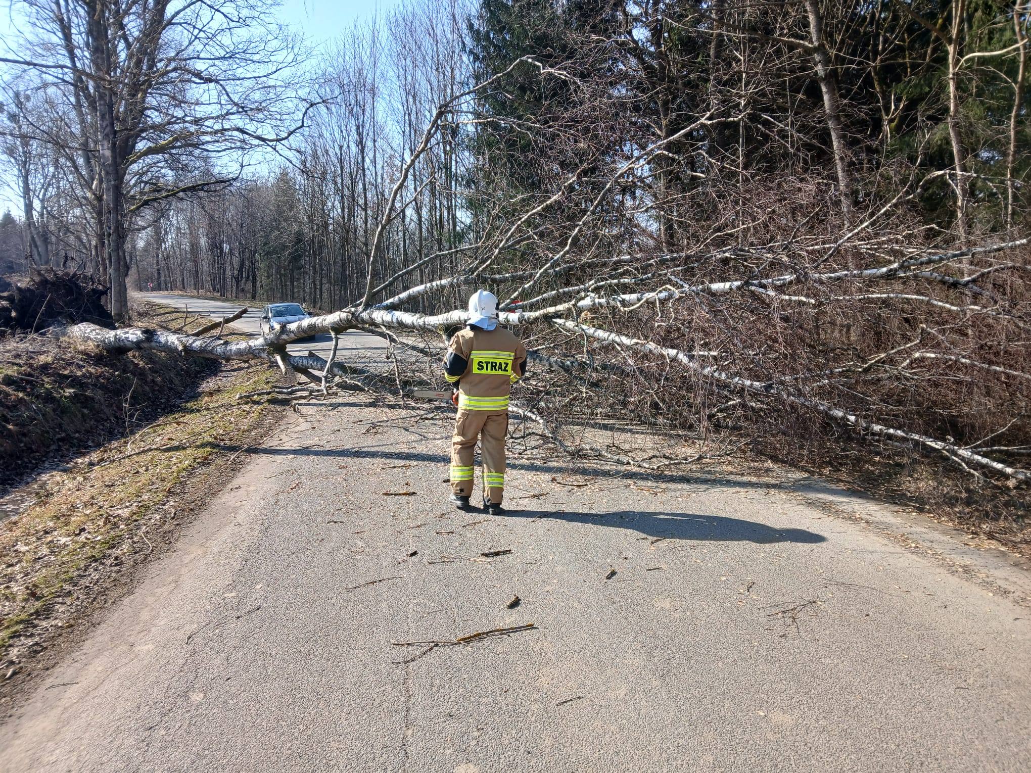 Pracowita sobota braniewskich strażaków