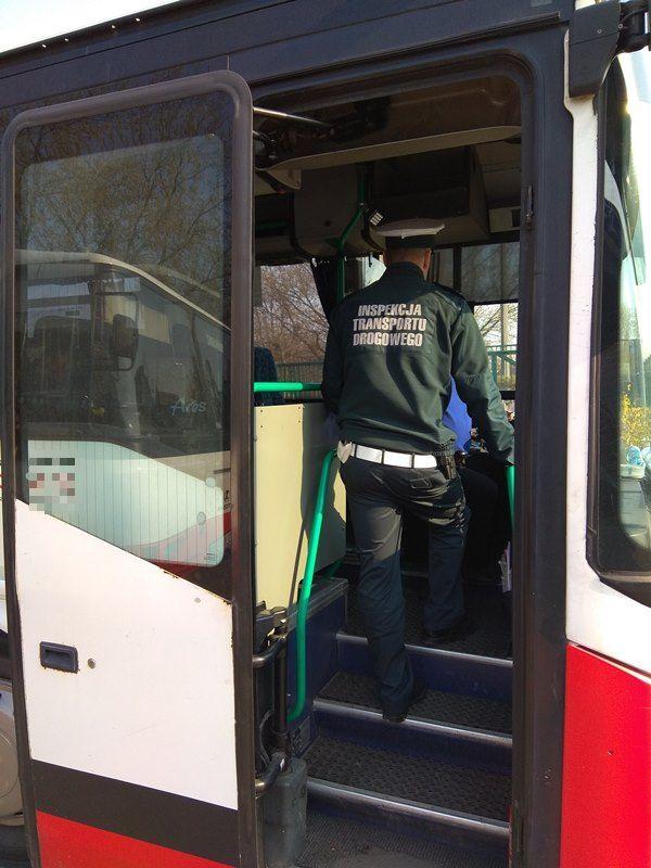 Kontroli poddano autobusy jeżdżące na liniach regularnych