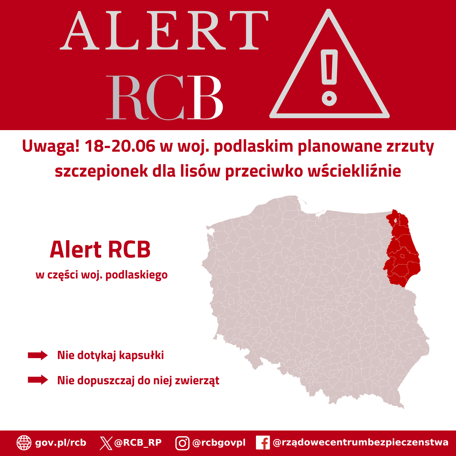 „Uwaga! 18-20.06 w woj. podlaskim planowane zrzuty szczepionek dla lisów przeciwko wściekliźnie. Nie dotykaj kapsułki i nie dopuszczaj do niej zwierząt!”