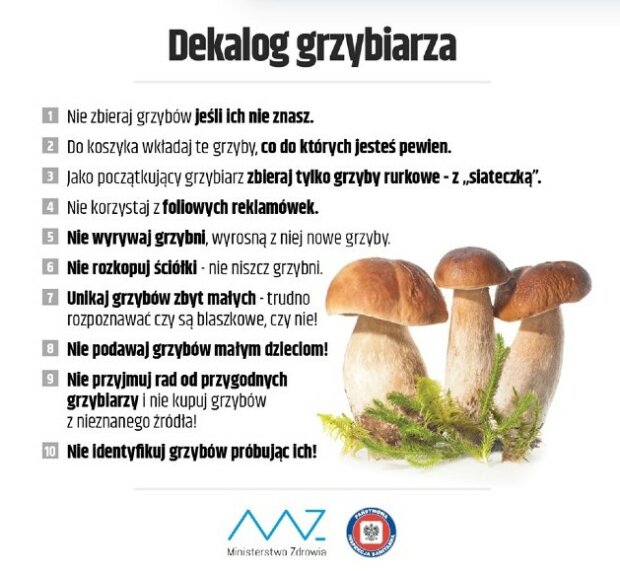 dekalog grzybiarza