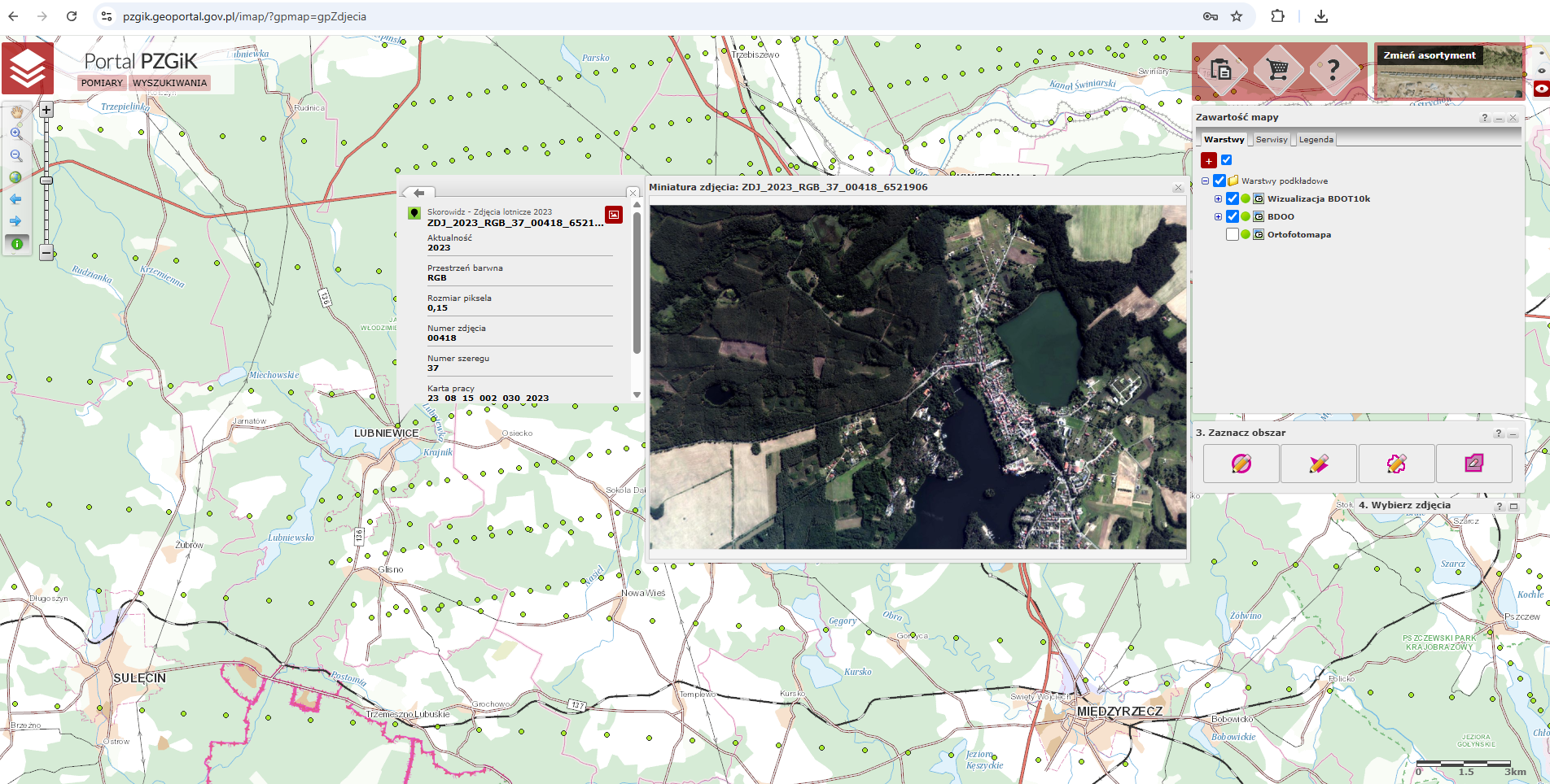 Ilustracja przedstawia zrzut ekranu z portalu PZGiK. 