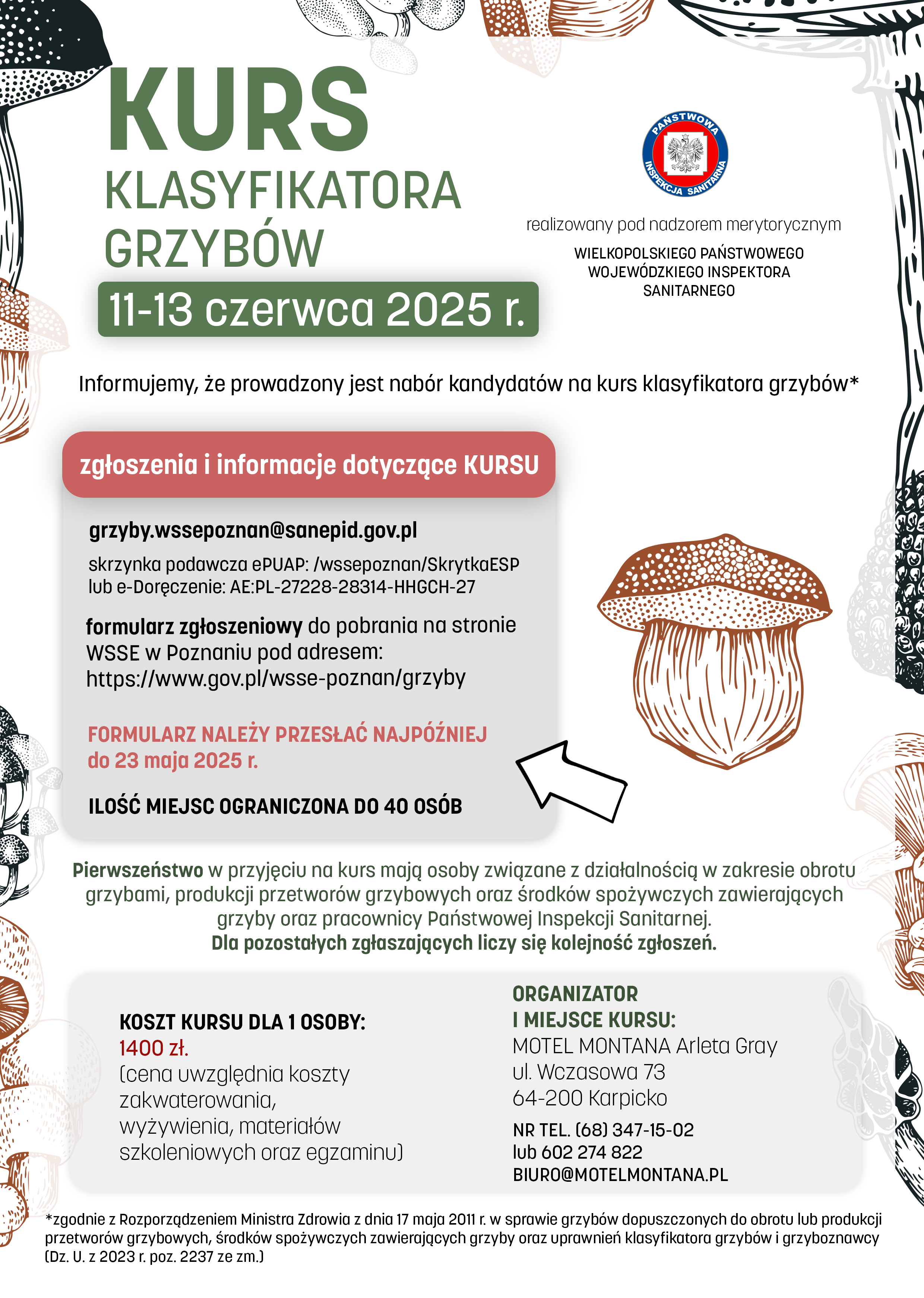 Kurs klasyfikatora grzybów