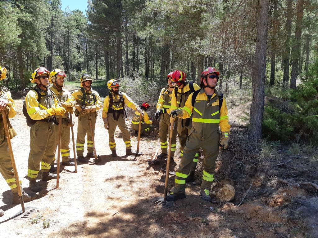 Grupa strażaków stoi w lesie w Hiszpanii podczas ćwiczeń gaszenia pożarów