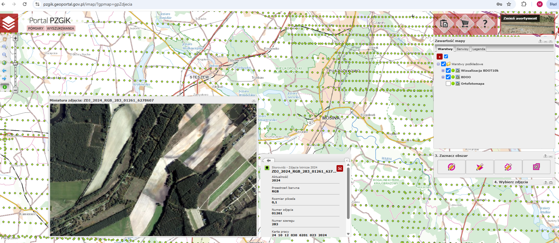 Ilustracja przedstawia zrzut ekranu z portalu pzgik.