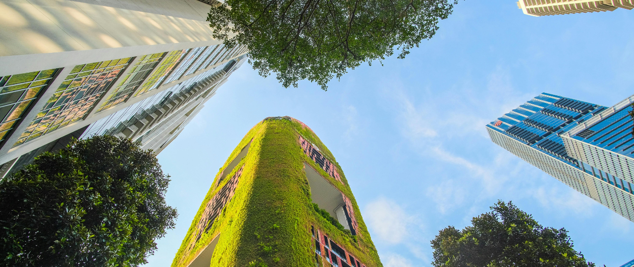 Futurystyczna wizja ekologicznego miasta. Drzewa, nowoczesne wieżowce. Jeden cały pokryty trawą. 