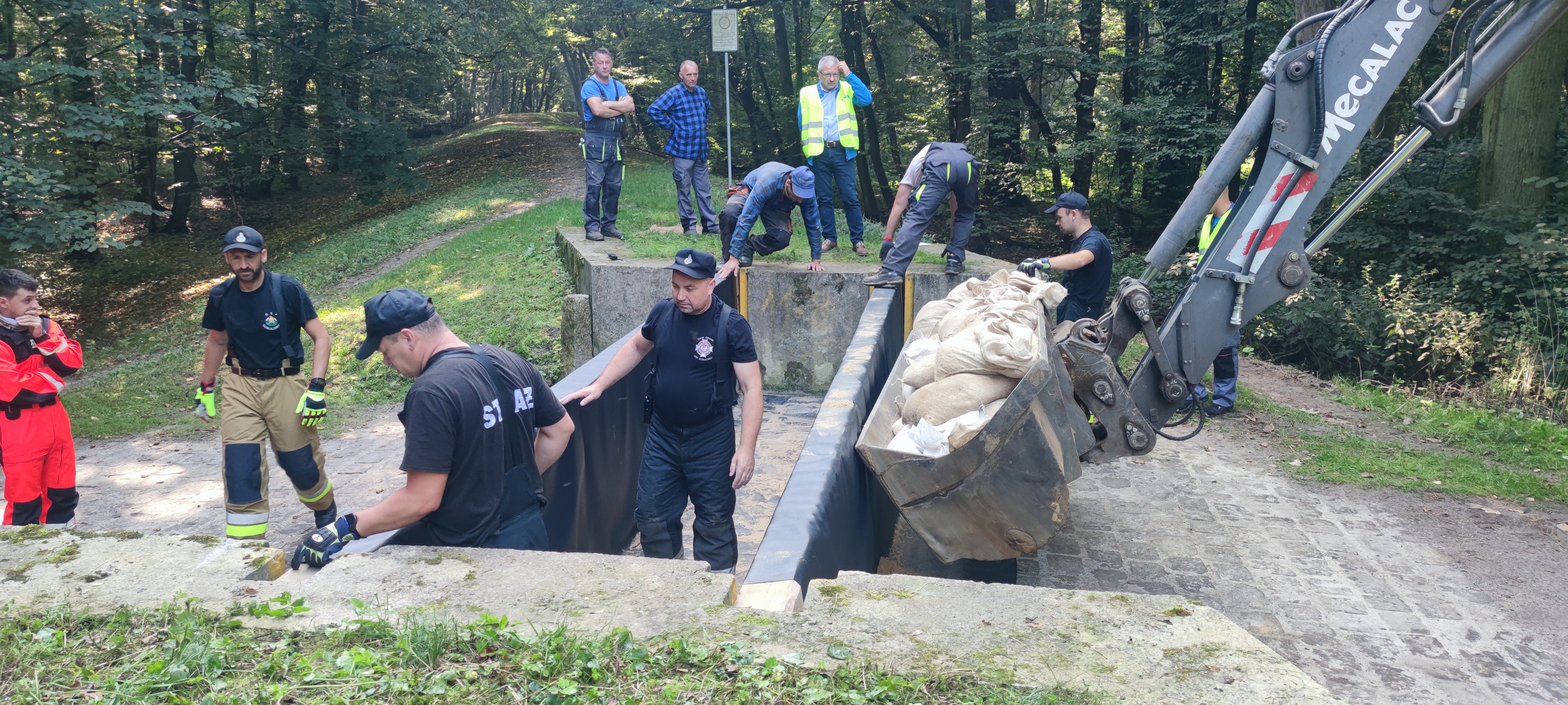 szandory przy ulicy Bażantowej
