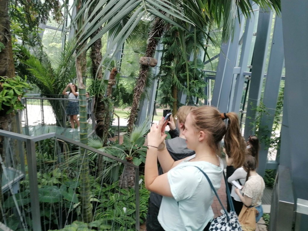 Zdjęcie kolorowe. Młodzież w palmiarni. Egzotyczne rośliny.. Kilka osób fotografujących otoczenie.