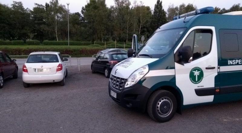 Radiowóz i samochody osobowe