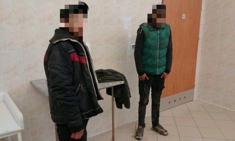 Nielegalni imigranci zatrzymani przez ITD.