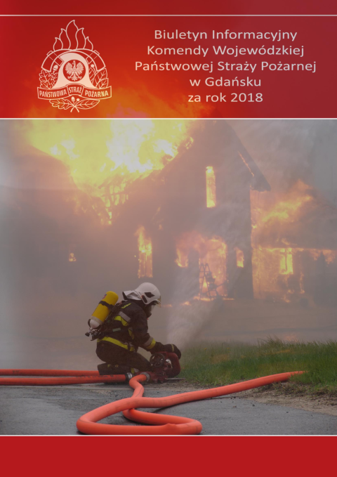 Biuletyn Informacyjny KW za rok 2018