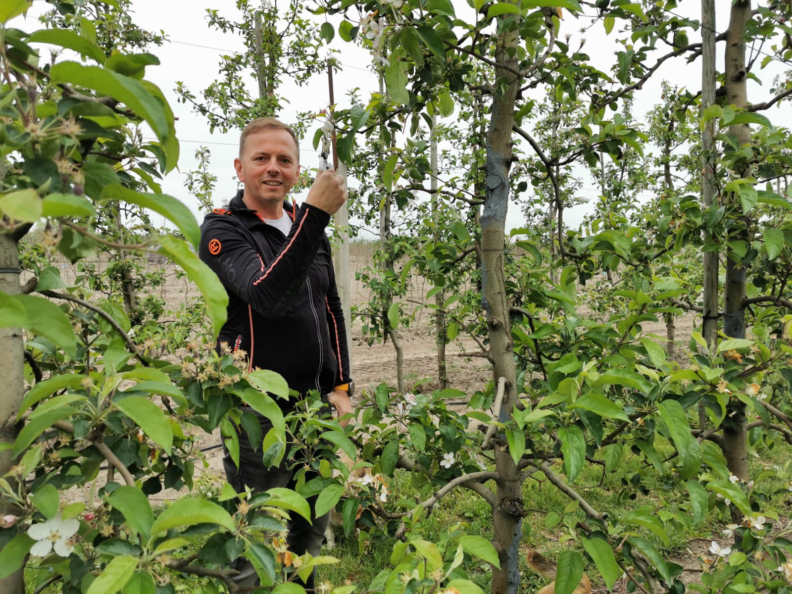 The man among the greenery