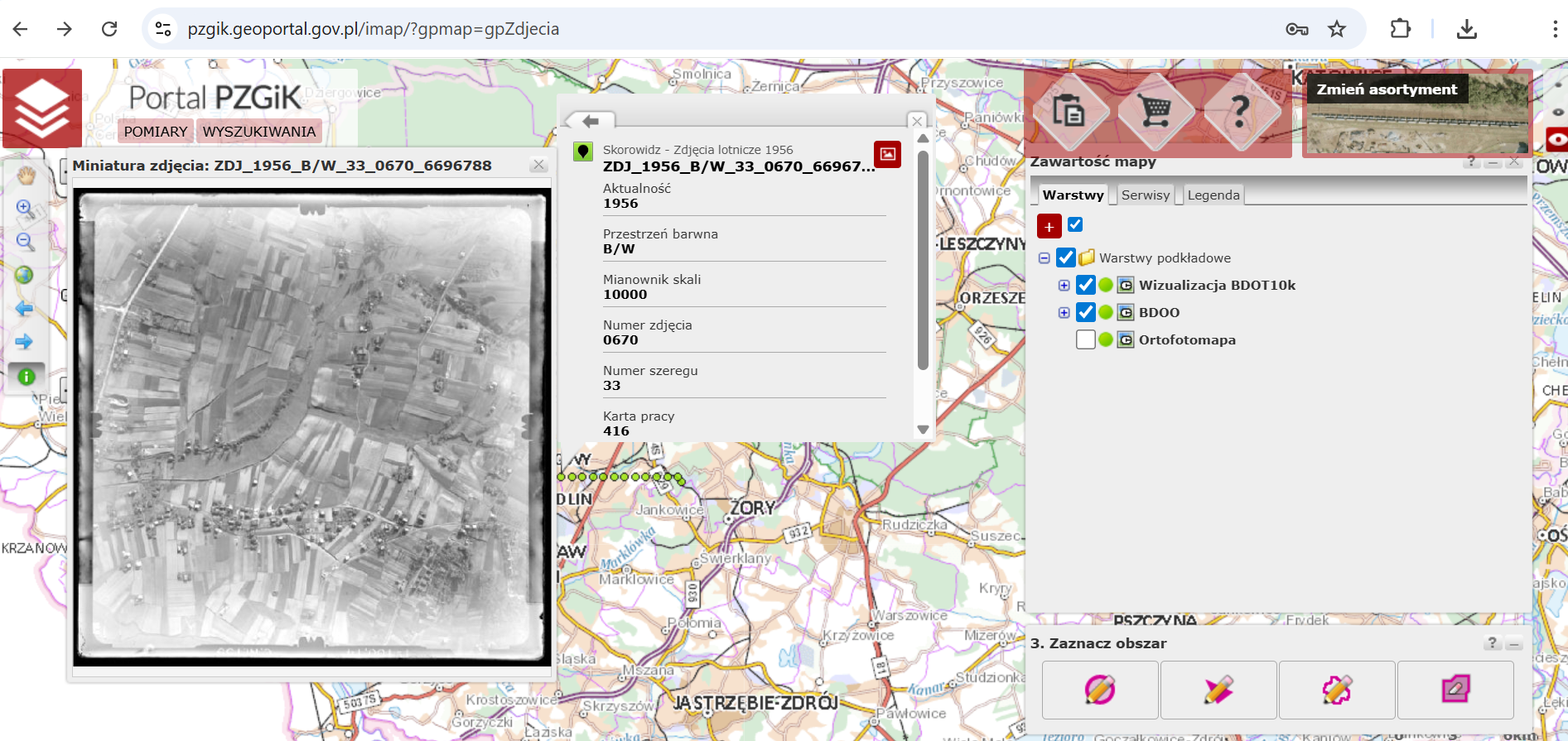 Ilustracja przedstawia zrzut ekranu z portalu pzgik.