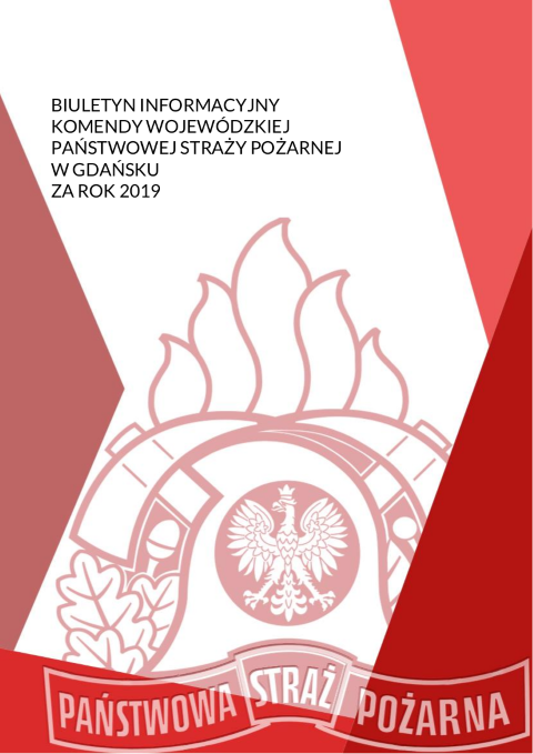 Biuletyn Informacyjny KW za rok 2019