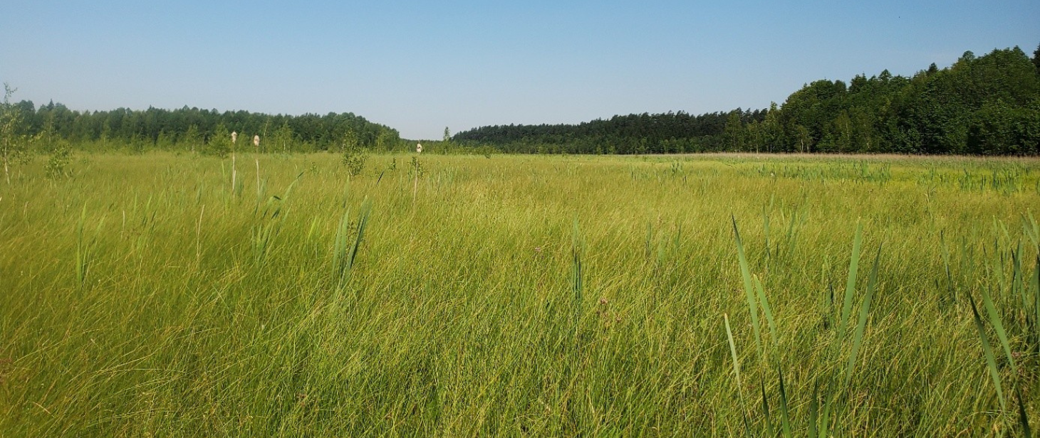 Dolina Rospudy