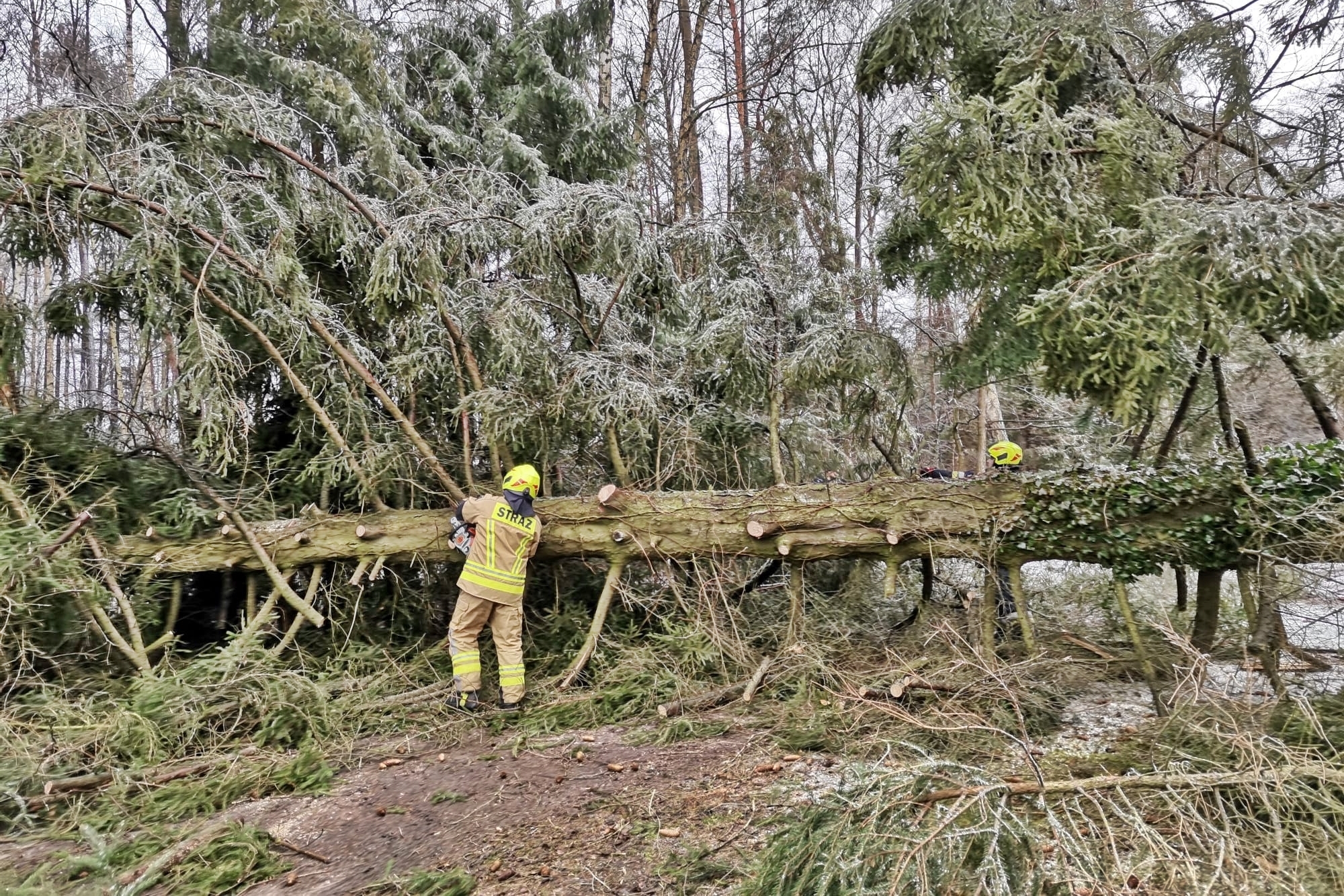17 stycznia 2022 roku w miejscowości Trzemuszka (gm. Kotuń) w wyniku silnego wiatru doszło do przewrócenia się drzewa na drogę gminną oraz ogrodzenie posesji. 