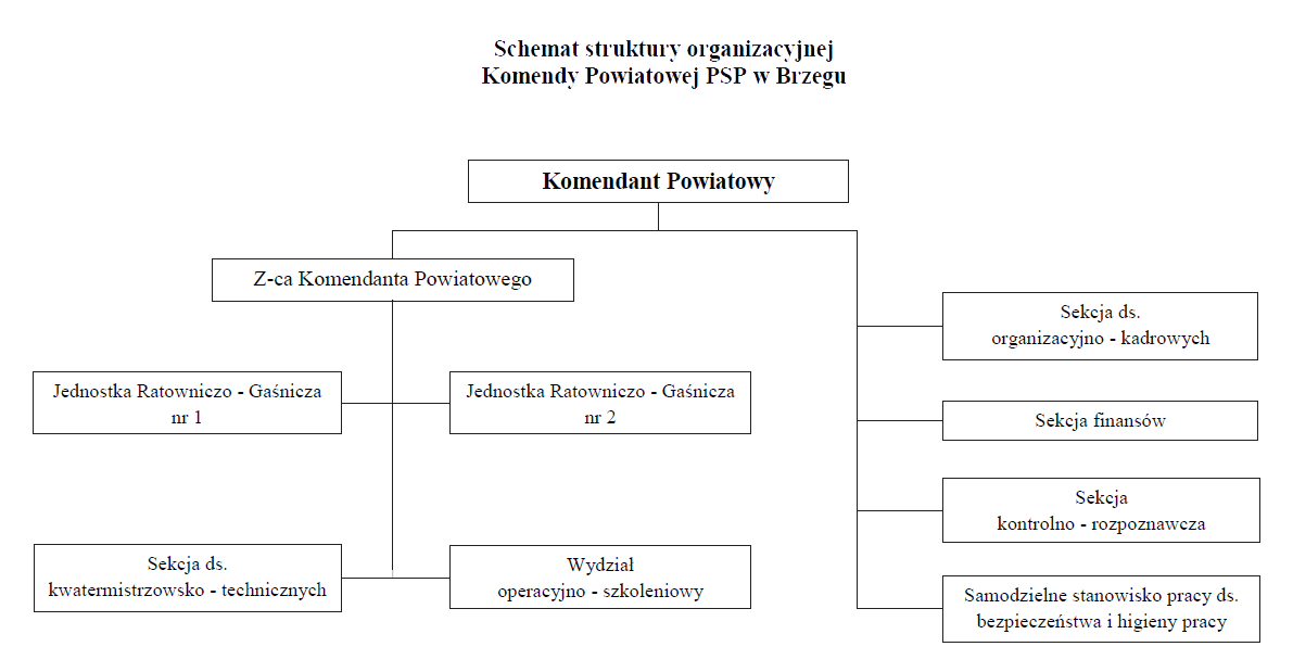 Schemat struktury organizacyjnej