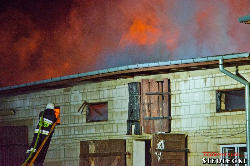 Pożar budynku gospodarczego. Na zdjęciu strażak stojący na drabinie, gaszący pożar na poddaszu.