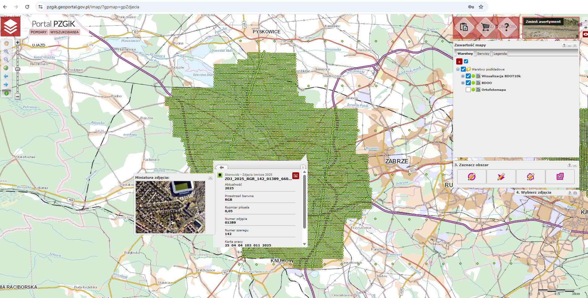 Ilustracja przedstawia zrzut ekranu z Portalu PZGiK.