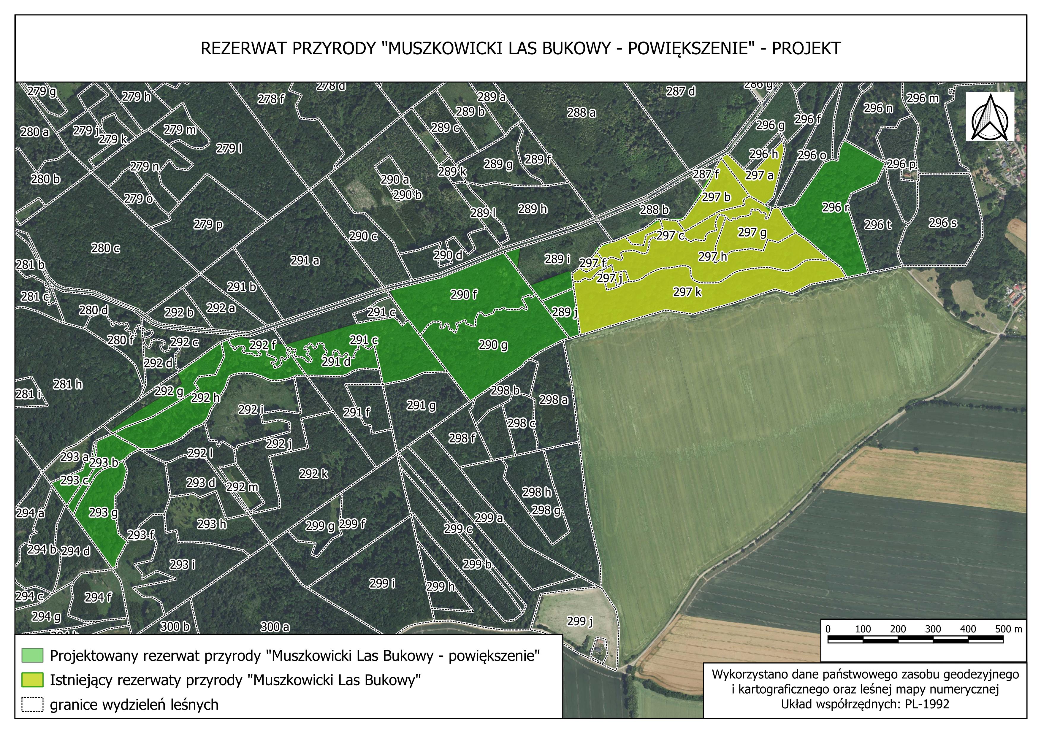 Mapa projektu rezerwatu - Muszkowicki Las Bukowy - powiększenie