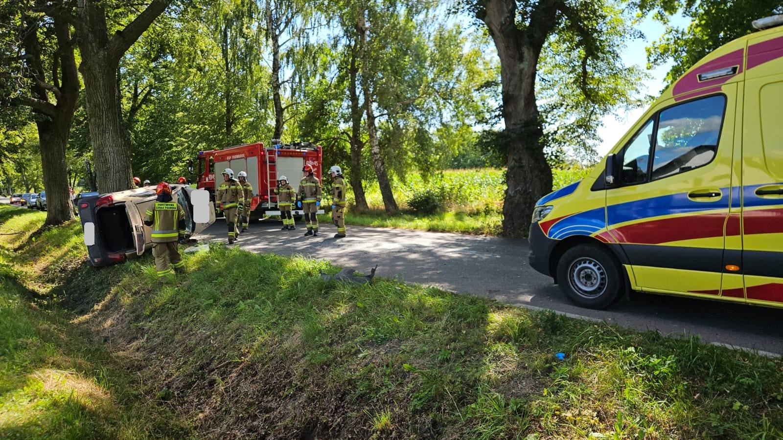 Auto uderzyło w drzewo – gm. Frombork