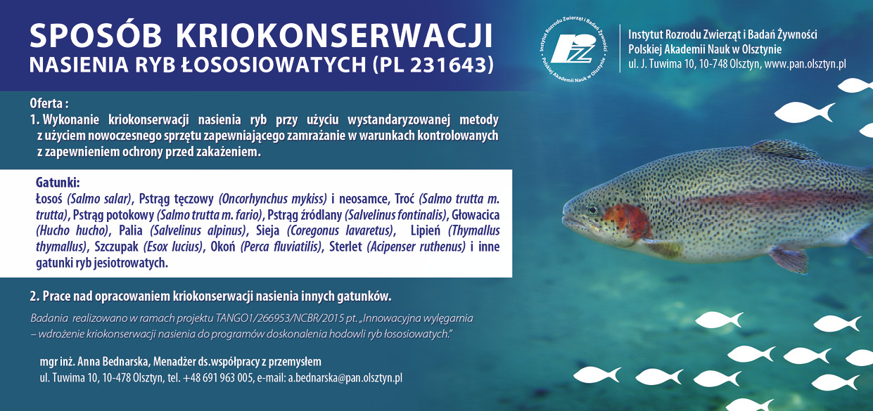 Do wymiernych osiągnięć aplikacyjnych projektu należy także zaliczyć, omówione wyżej, założenie banku kriokonserwowanego
nasienia linii ryb łososiowatych utrzymywanych w Wylęgarni Ryb „Dąbie” oraz rozpoczęcie wykorzystywania zamrożonego nasienia do prac
hodowlanych Wylęgarni. Opracowana metoda może być także przydatna dla innych gospodarstw rybackich oraz w działaniach ukierunkowanych na
stworzenie banków genów zagrożonych gatunków i populacji ryb. Główne założenia metody zostały zaprezentowane na specjalistycznych
konferencjach szerokiej grupie odbiorców
