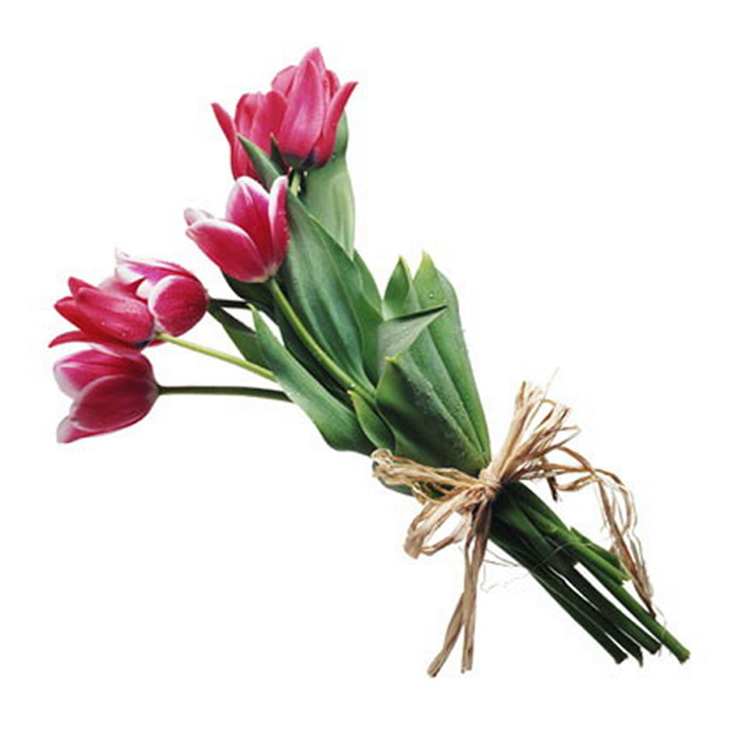 DZIEŃ KOBIET, DZIEŃ KOBIET…