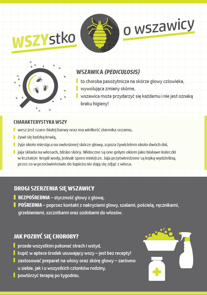 Wszystko o wszawicy
