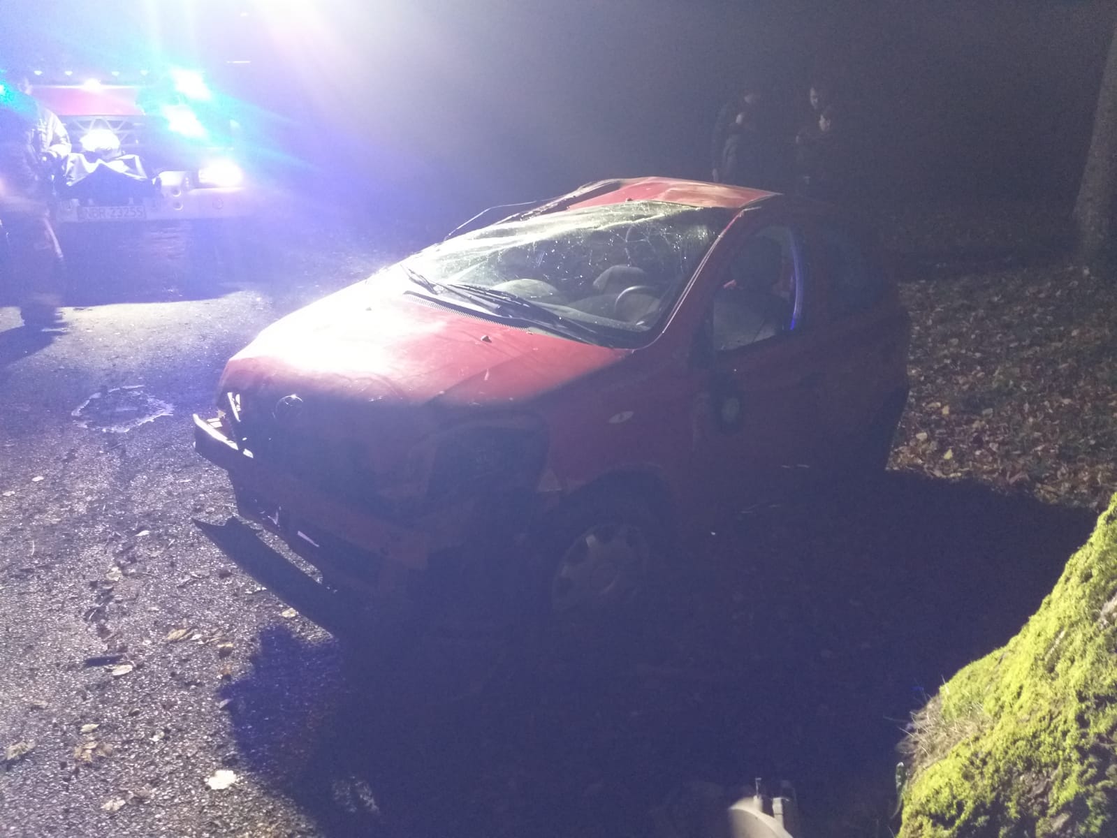 Toyota uderzyła w przydrożne drzewo 