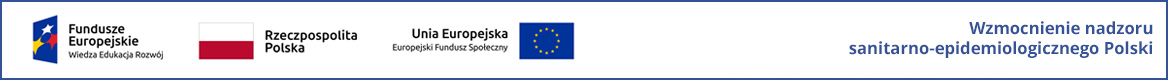 Logo UE, flaga Polski i UE