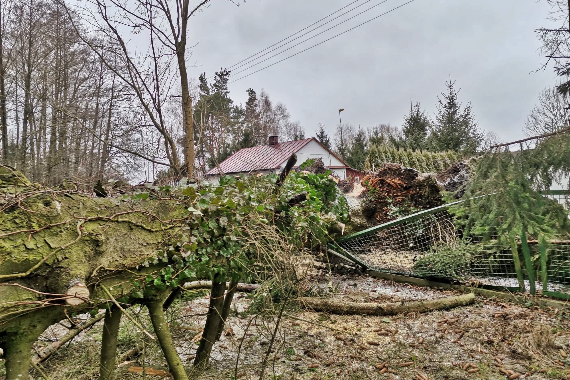 17 stycznia 2022 roku w miejscowości Trzemuszka (gm. Kotuń) w wyniku silnego wiatru doszło do przewrócenia się drzewa na drogę gminną oraz ogrodzenie posesji. 