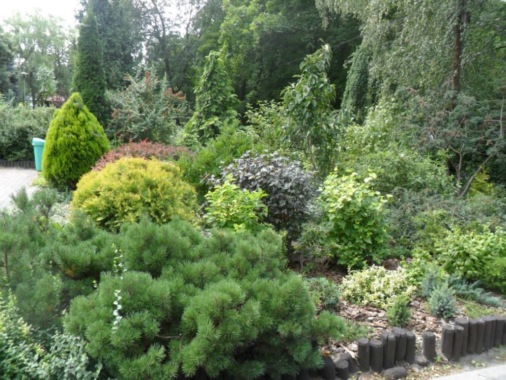 UCZNIOWIE TECHNIKUM KSZTAŁCĄCEGO W ZAWODZIE TECHNIK ARCHITEKTURY KRAJOBRAZU POJADĄ NA STAŻ DO DEULA NIENBURG W NIEMCZECH