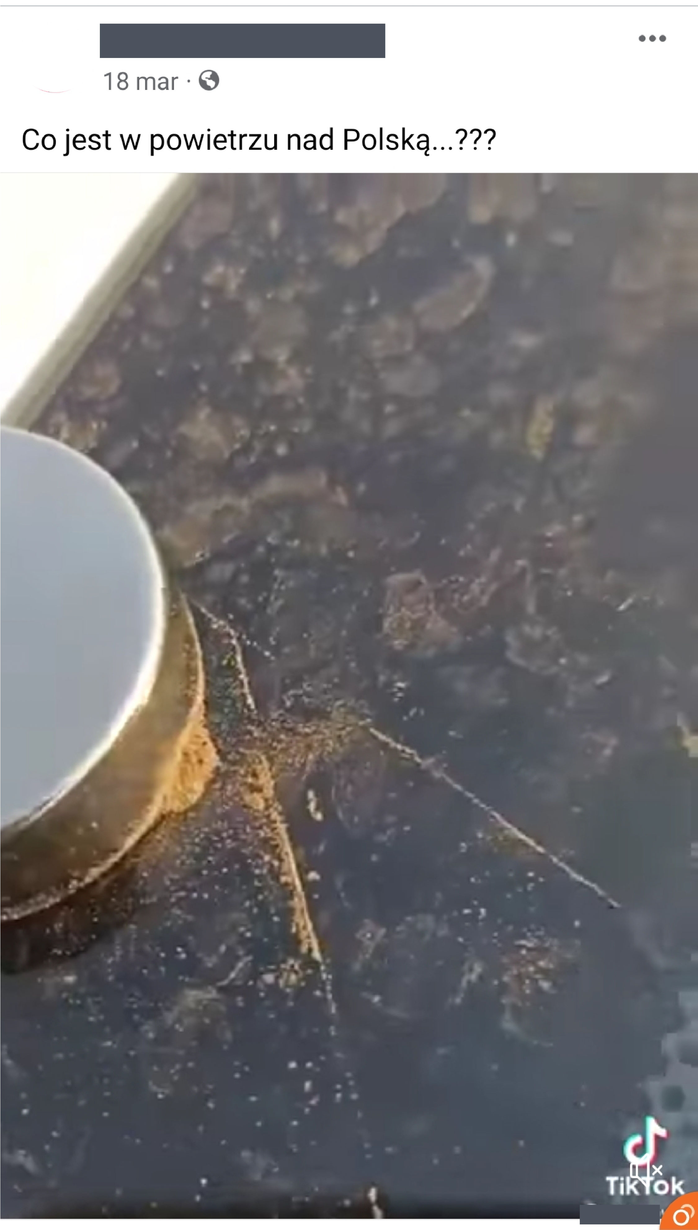 Zrzut ekranu pokazujący zdjęcie pyłków oraz pytanie jednego z użytkowników serwisu społecznościowego: Co jest w powietrzu nad Polską?
