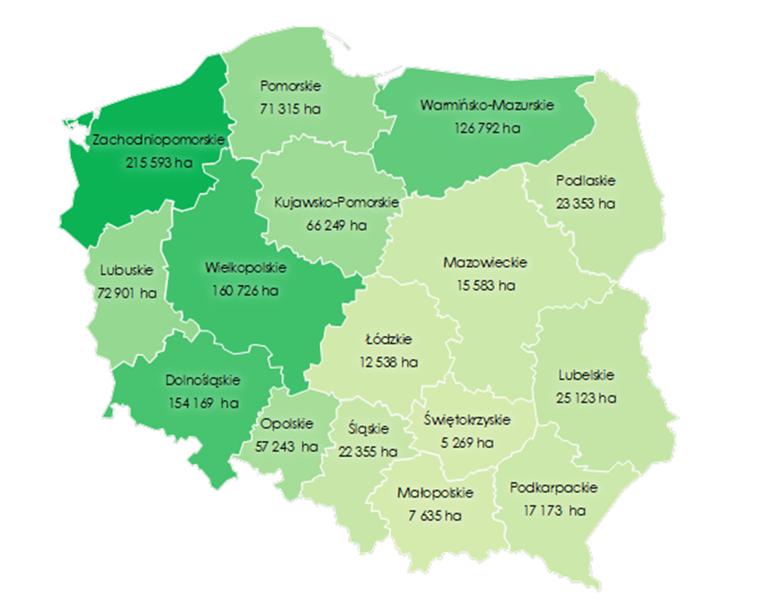 Rys. 1. Powierzchnia gruntów Zasobu WRSP pozostająca w dzierżawie wg stanu na 30 czerwca 2025 r., wg województw (w ha) 