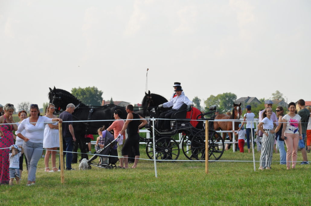 IV AGROMAJÓWKA W ZDUŃSKIEJ DĄBROWIE