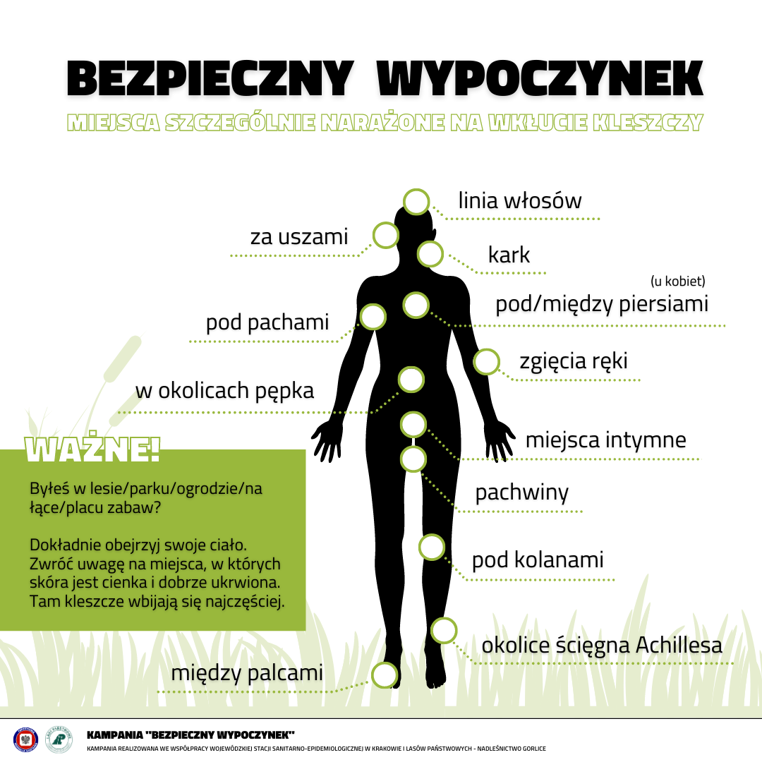 Miejsca szczególnie narażone na wkłucie kleszczy