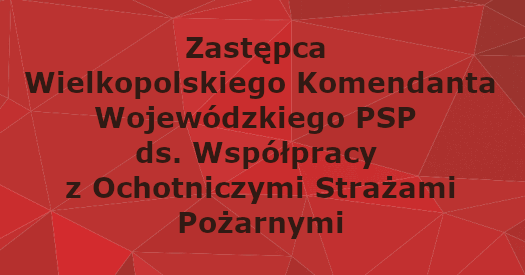 ZASTĘPCA WIELKOPOLSKIEGO KOMENDANTA WOJEWÓDZKIEGO PSP DS. WSPÓŁPRACY Z OCHOTNICZYMI STRAŻAMI POŻARNYMI