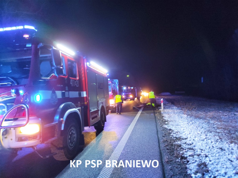 Zderzenie osobówki z łosiem – S 22