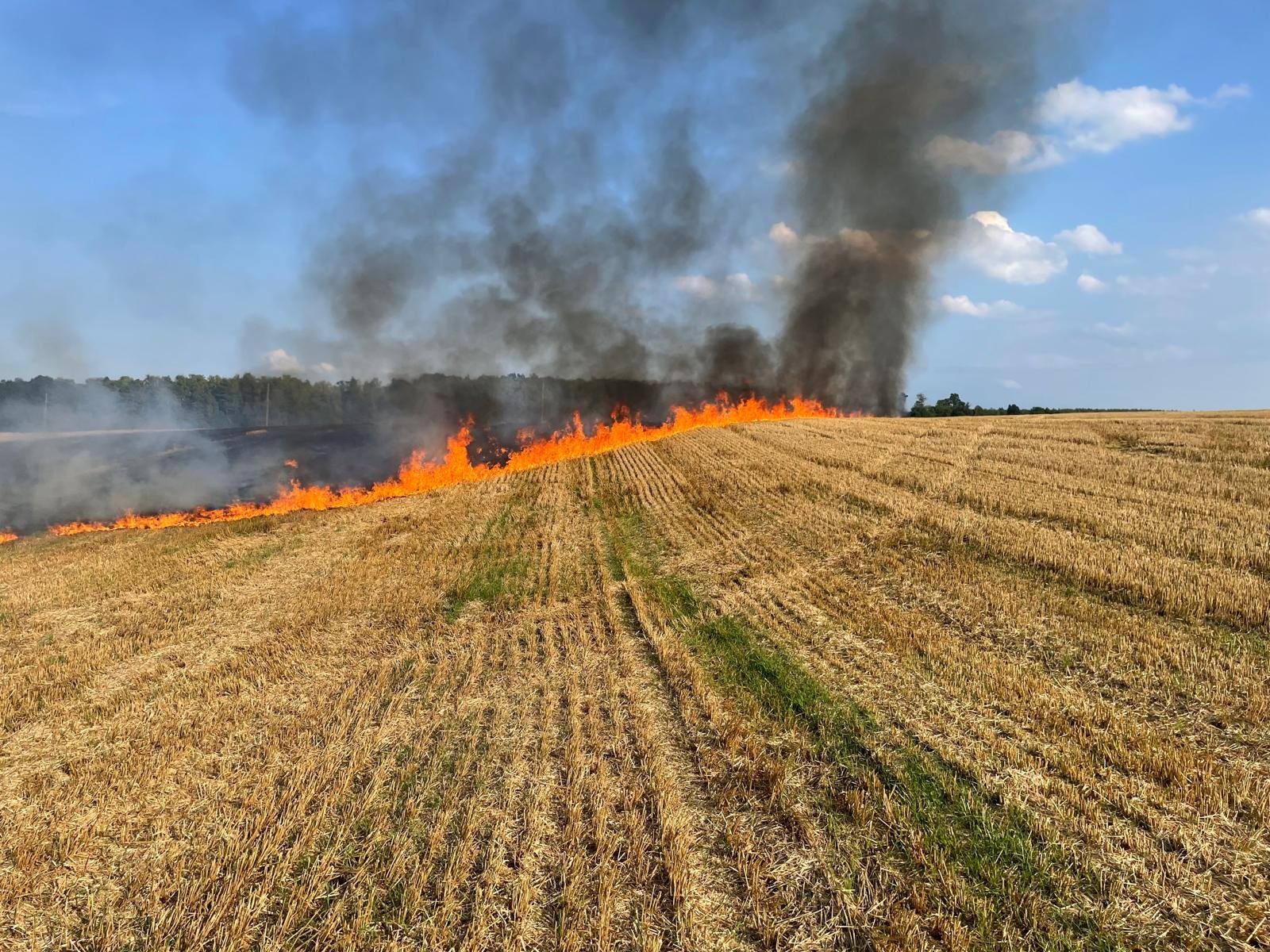 Groźny pożar rżyska - gmina Braniewo