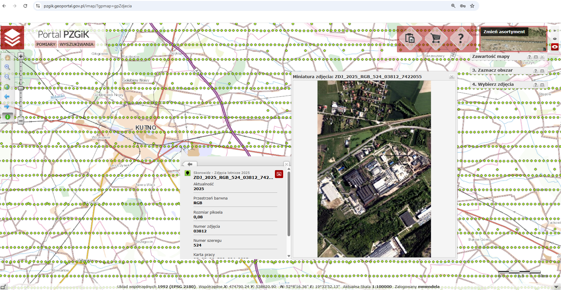 Ilustracja przedstawia zrzut ekranu z portalu pzgik