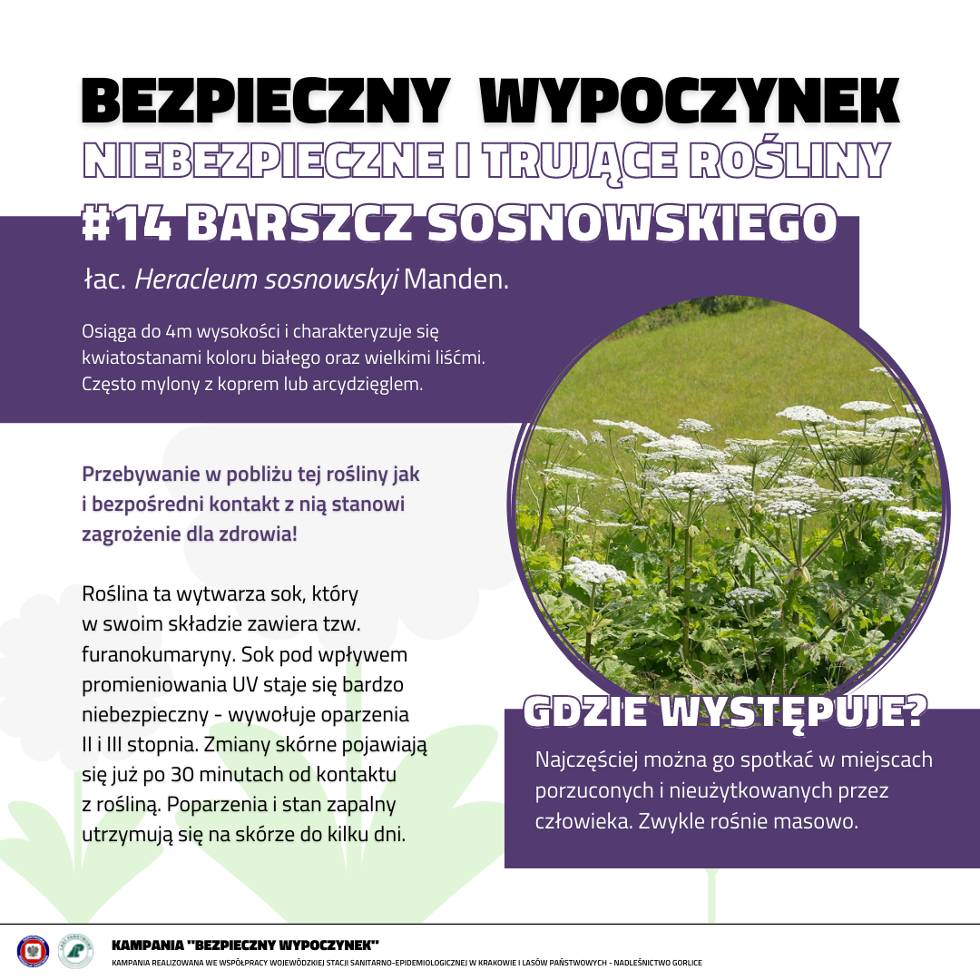 Barszcz Cosnowskiego