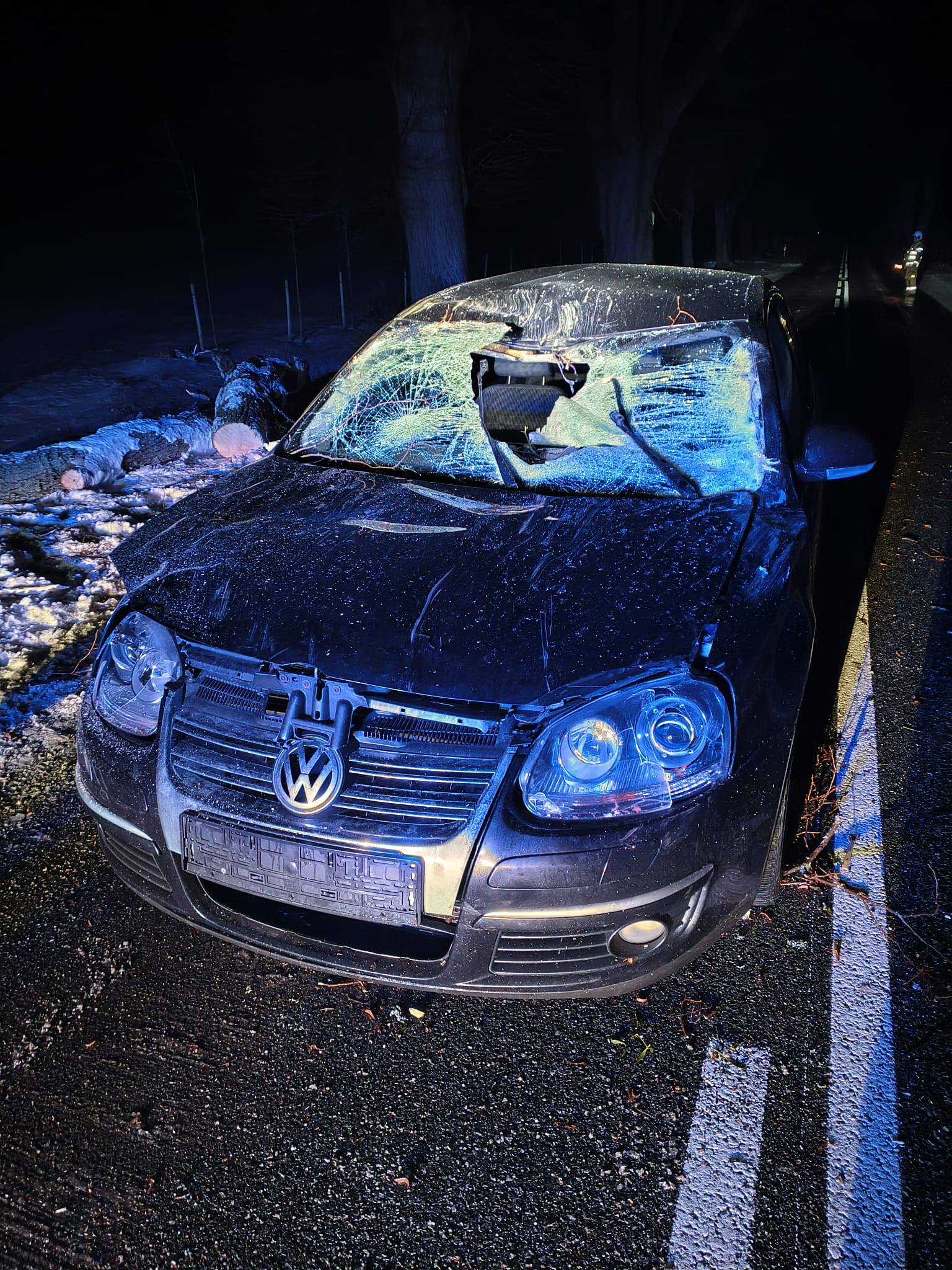 Na jadący samochód spadł konar drzewa - gmina Frombork