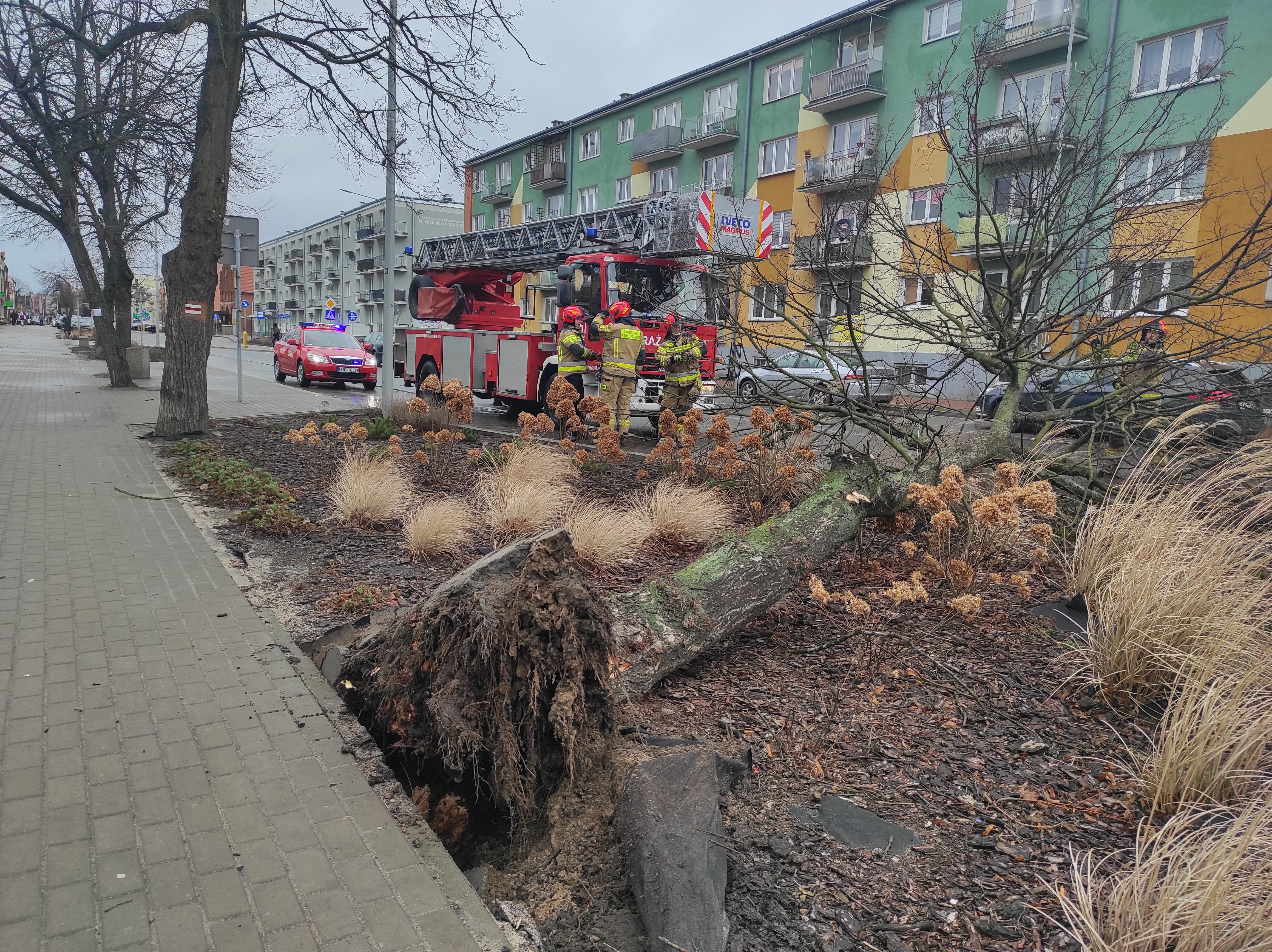 Silny wiatr - intensywne działania strażaków.