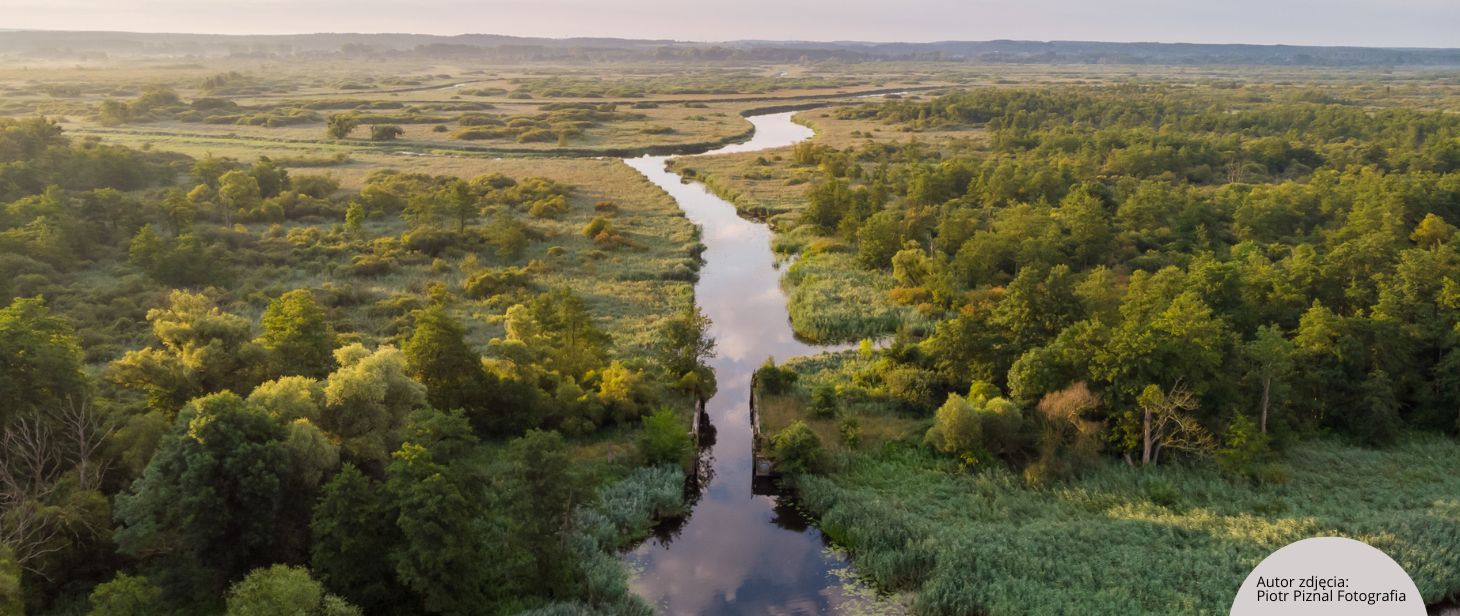 Widok z lotu ptaka na Dolinę Dolnej Odry, w centralnej części zdjęcia znajduje się rzeka, a dookoła niej tereny zielone
