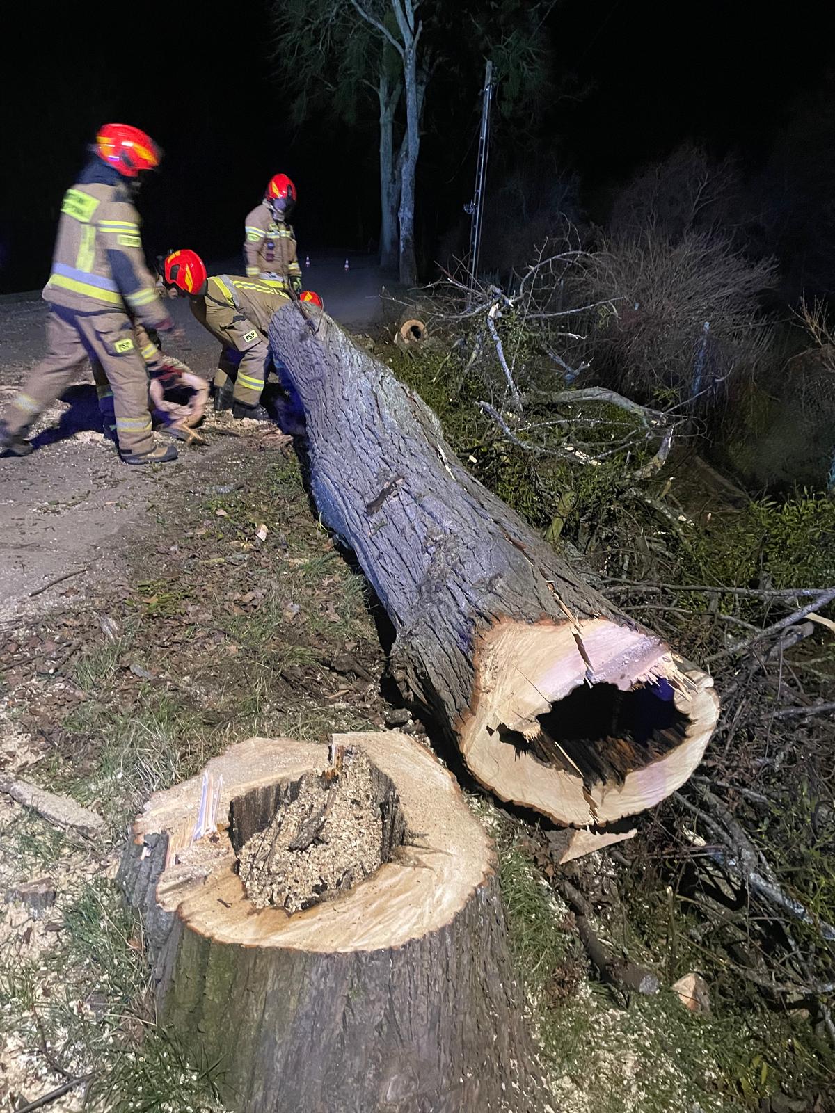 Pracowity okres - strażacy PSP, WSP i OSP w działaniu