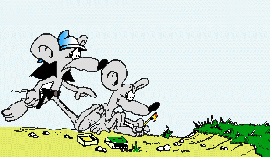 Wypalanie traw, nie jest najmądrzejszym sposobem spędzania wolnego czasu.