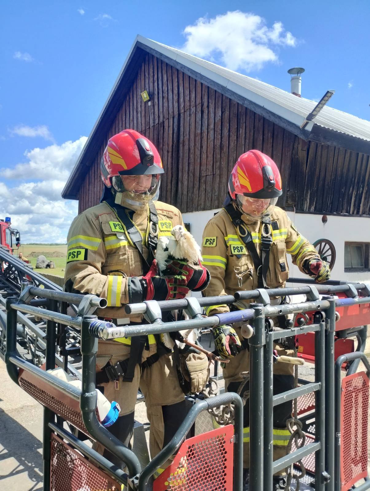Bocian wypadł z gniazda. Pomogli mu strażacy