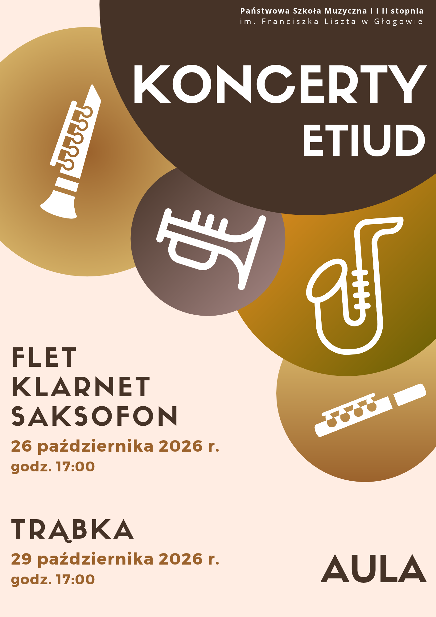 plakat koncertu