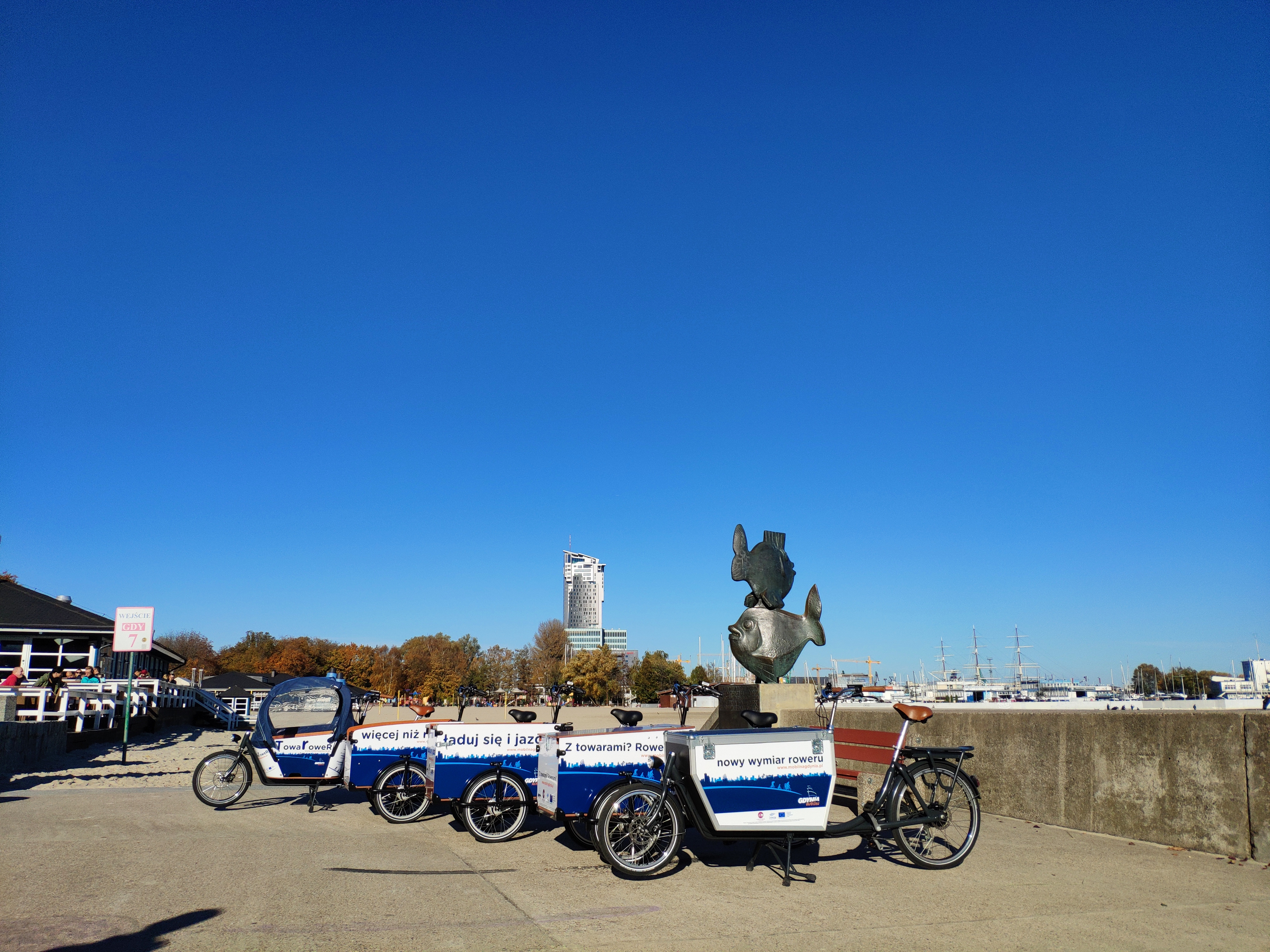 Rowery cargo w Gdyni