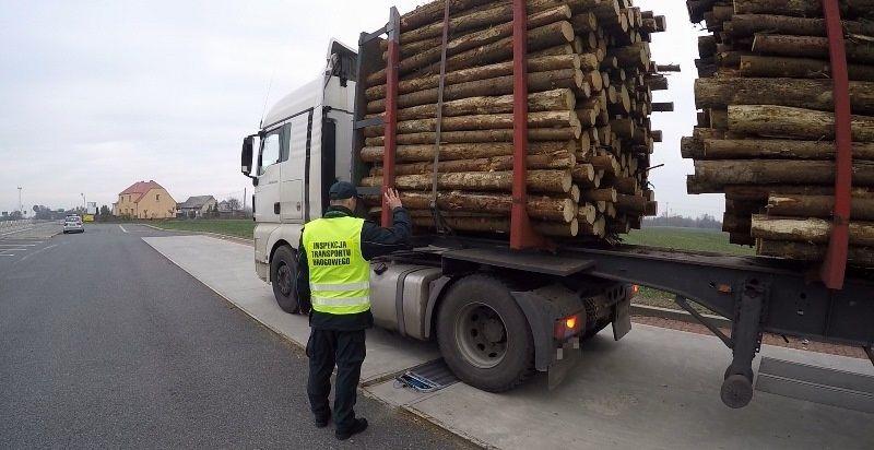 Inspektor przy ciężarówce z drewnem